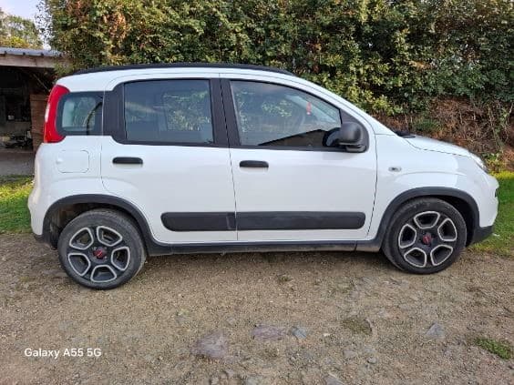 Fiat PANDA - Image 1